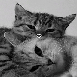 Love Wallpaper