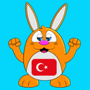 Learn Turkish Language