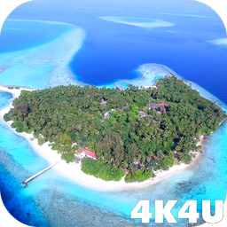 4K Maldives Paradise Drone Live Wallpapers