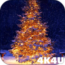 4K Christmas Tree Live Wallpaper