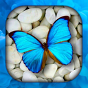 Butterfly Wallpaper Live HD/3D