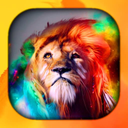 Lion Wallpaper Live HD/3D/4K