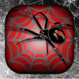 Spider Wallpaper Live HD/3D/4K