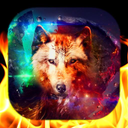 Wolf Wallpaper Live HD/3D/4K