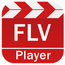 FLV Video Player on Android