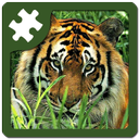 Wild animals puzzle: Jigsaw