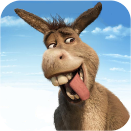 it is donkey