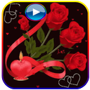 Animated  Flowers Stickers For WhatsApp