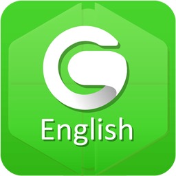 English Grammar Lite