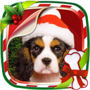 Christmas Animals Live Wallpaper