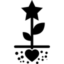 مدیتیشن ستاره