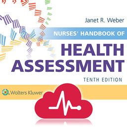 Nurses' HBK Health Assessment