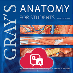 Gray's Anatomy Flash Cards