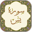 سوره یاسین ( یس )