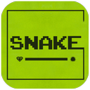 Snake  🐍