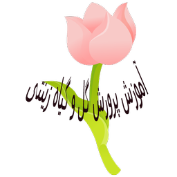 Education ornamental flowers