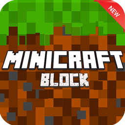 Mini Craft Block