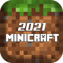 Mini Craft 2021