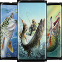 Fishing Wallpaper: Fish Wallpaper Best 4K