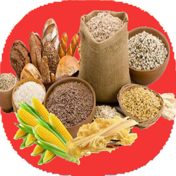 کربوهیدرات ها چیست؟