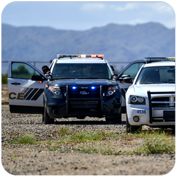 Police Car Driver Chase 3D