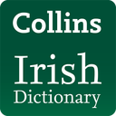 Pocket Irish Dictionary