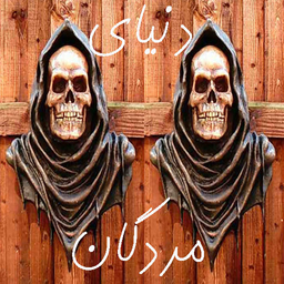 اسرار دنیای مردگان