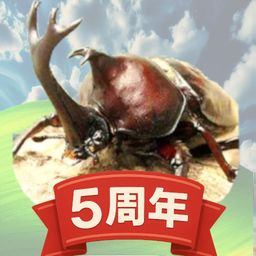 attack! Beetles,stag GreatWar2