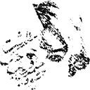 Hafeznameh