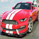Car Driver