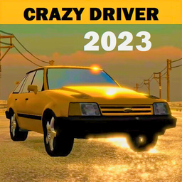 Crazy Driver: Are you ready?