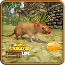Mouse Simulator - Forest Life