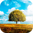 Awesome-Land 2 live wallpaper : Plant a Tree !!