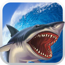 Clumsy Shark Fish