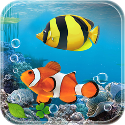Aquarium Fish Live Wallpaper 2019: Koi Fish Free