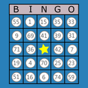 Classic Bingo Touch