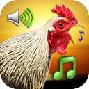 Funny Alarm Clock Ringtones