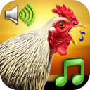 Funny Alarm Clock Ringtones