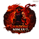 Shadow Ninja