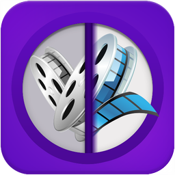 Deleted Video Recovery