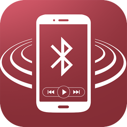 Dual iPlug P1 Smart App Remote