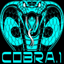 Cobra Helicopter Fight 1