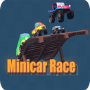 Minicar race