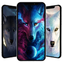 تصویر زمینه گرگ ~ wolf wallpaper