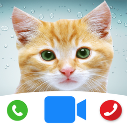 Cute Cat Prank Call - Fake Cal