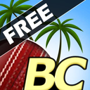 Beach Cricket Free