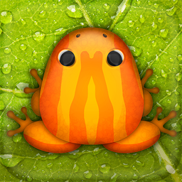 Pocket Frogs: Tiny Pond Keeper