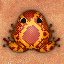 Pocket Frogs: Tiny Pond Keeper