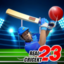 Real World Cup ICC Cricket T20