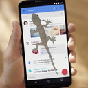 Lizard On Screen Prank